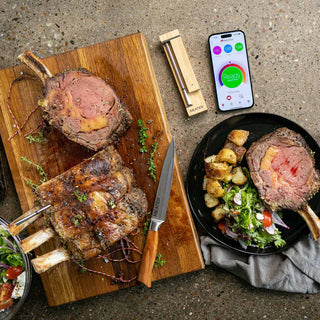 Wireless Smart Food Thermometer MEATER 2 Plus with Bluetooth and Wi-Fi Connectivity