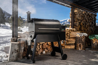 Traeger Pro 780 galite naudoti bet kokiu oru